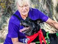 Adoptuj Warszawiaka  Wydarzenie promujące adopcję zwierząt. Organizator: Schronisko dla Bezdomnych Zwierząt "Na Paluchu". 18 sierpnia 2019, Park Raszyński w Raszynie. : park raszyński, adoptuj warszawiaka, na paluchu, schronisko dla zwierząt, centrum warszawy, raszyn